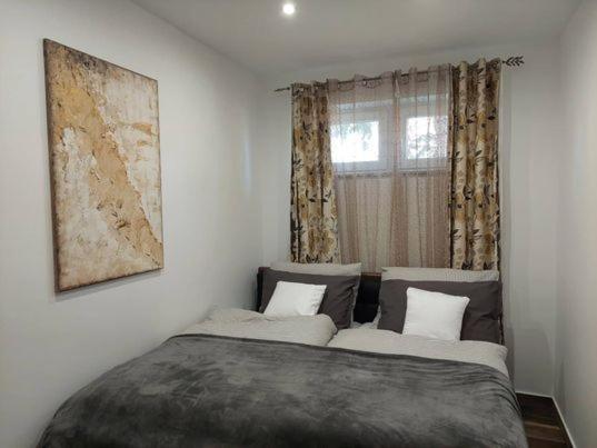 Dr Becsey Luxury Apartman Bekescsaba Zewnętrze zdjęcie
